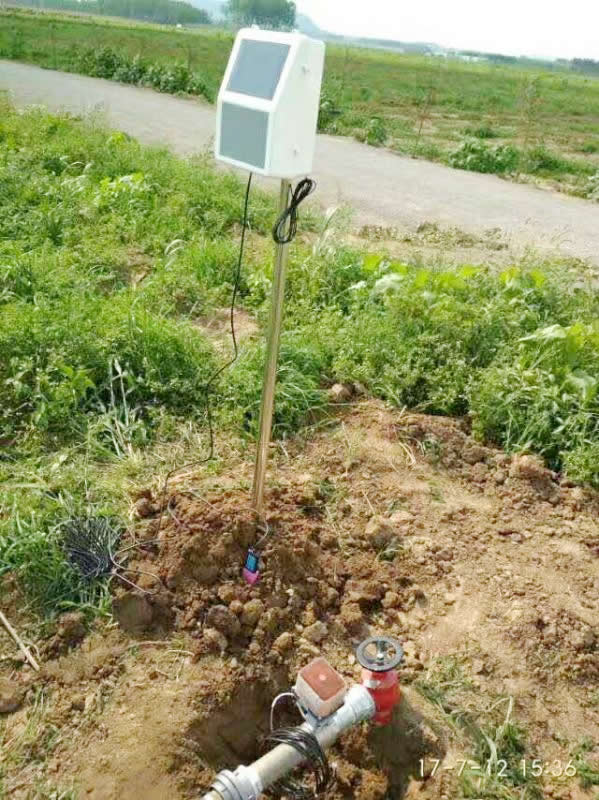 Զ豸
