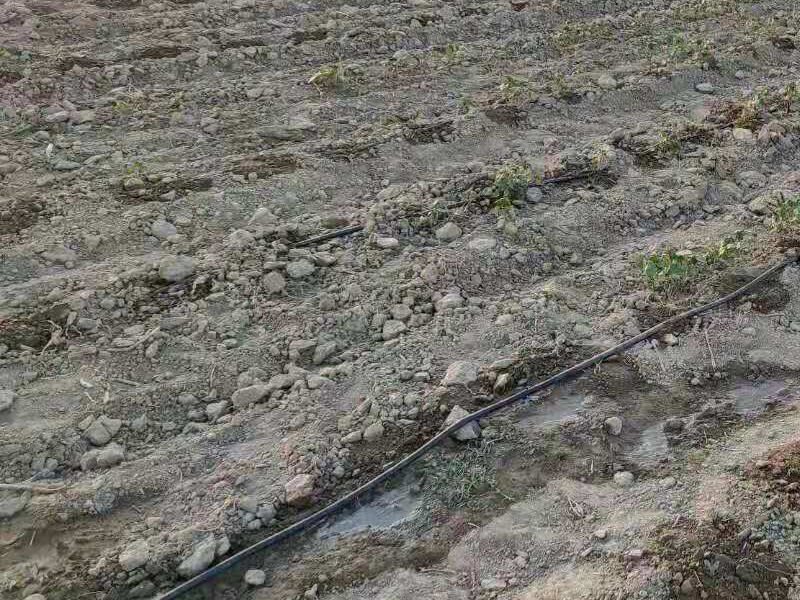 Բι